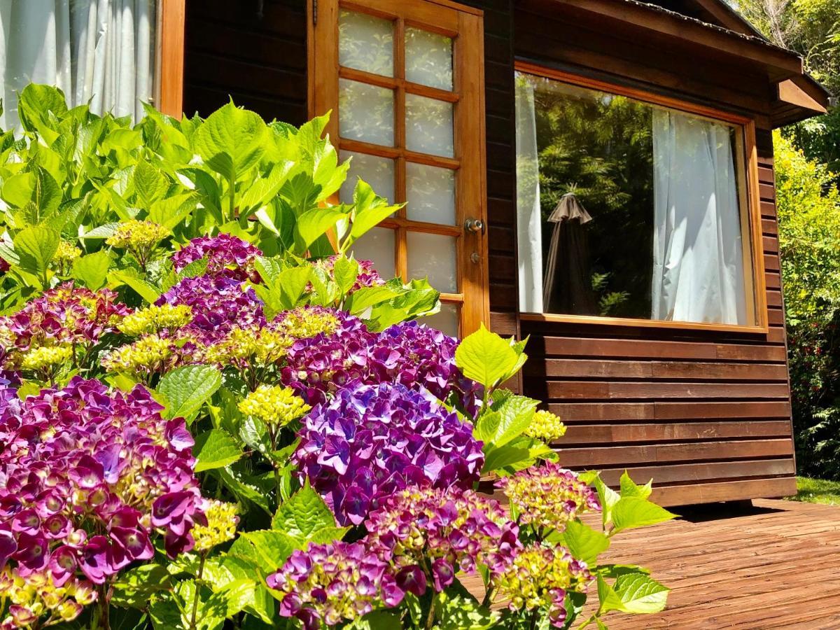Cabanas Monte Verde Pucón Exterior foto